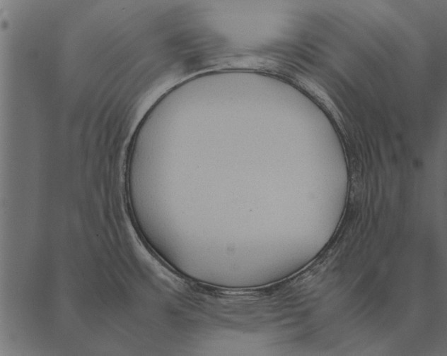 X0000087311483200705180933