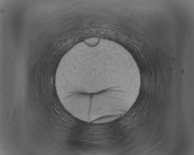 X0000087311489200705180932