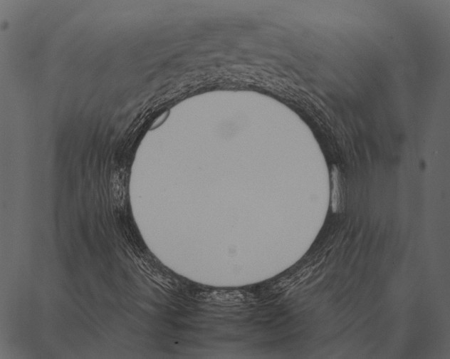 X0000087311491200705180932