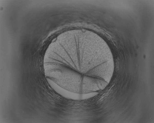 X0000087311494200705180932