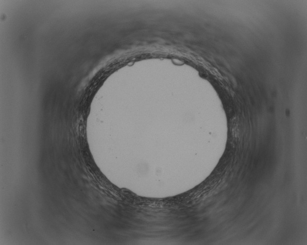 X0000087311495200705180932