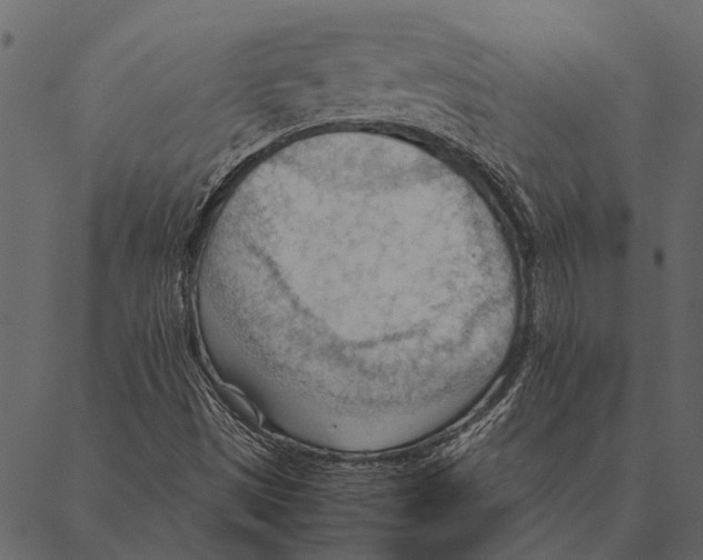 X0000087311497200705180933