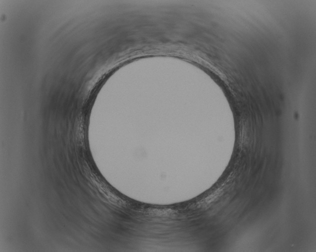 X0000087311498200705180933