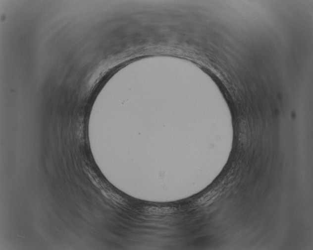 X0000087311499200705180933