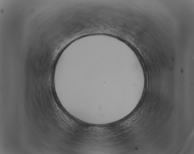 X0000087311500200705180933