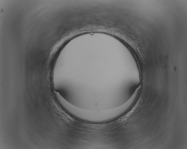 X0000087311502200705180933