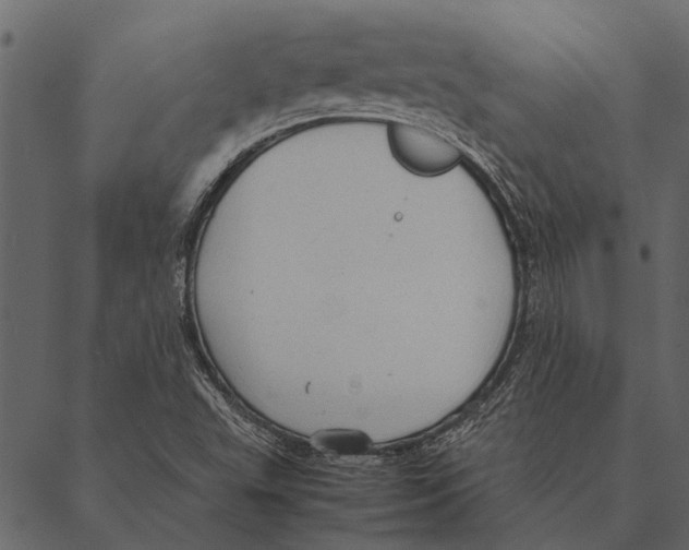 X0000087311503200705180933