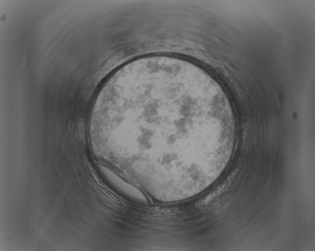 X0000087311505200705180933