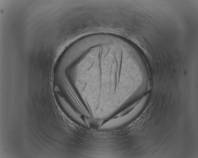 X0000087311508200705180933