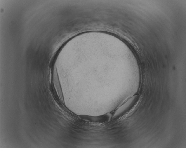 X0000087311509200705180933