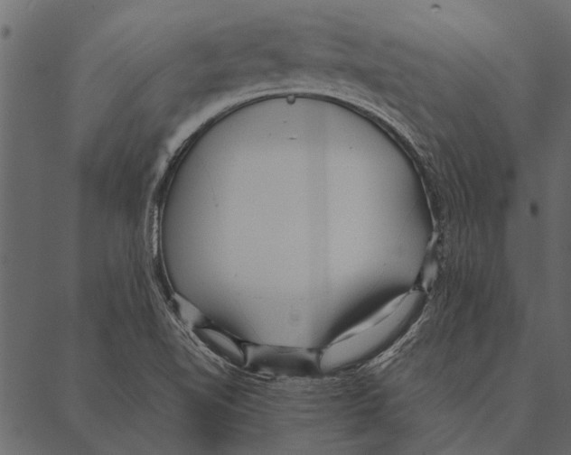 X0000087311510200705180933