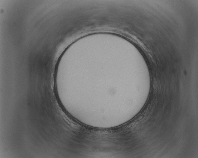 X0000087311512200705180933