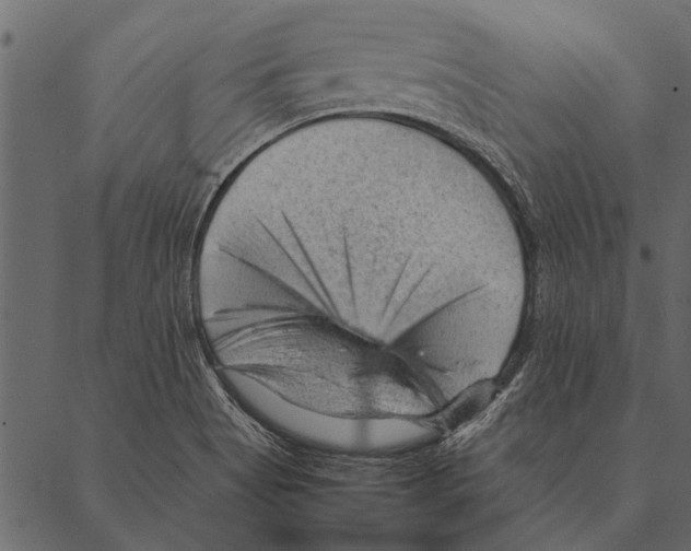 X0000087311513200705180933