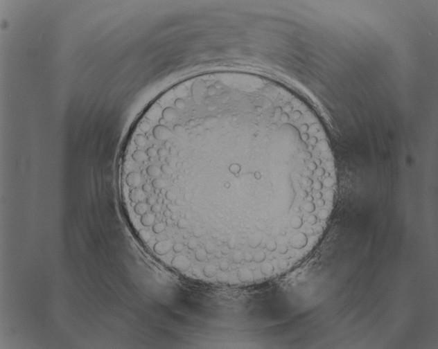 X0000087311514200705180933