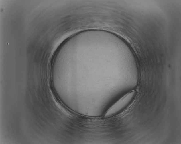 X0000087311515200705180933