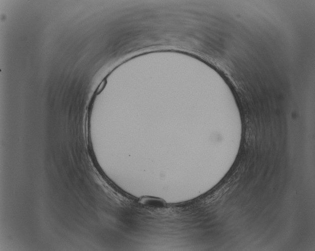 X0000087311516200705180933