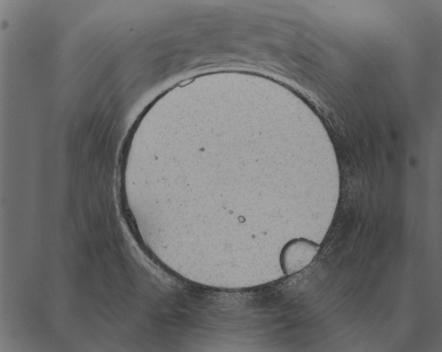 X0000087311518200705180933