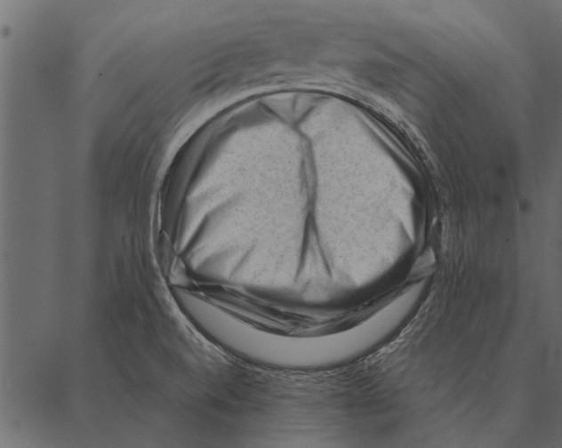 X0000087311520200705180933