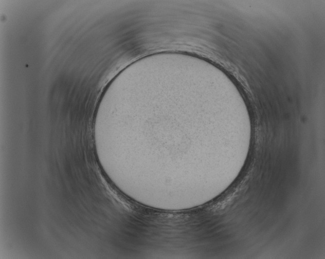 X0000087311521200705180933