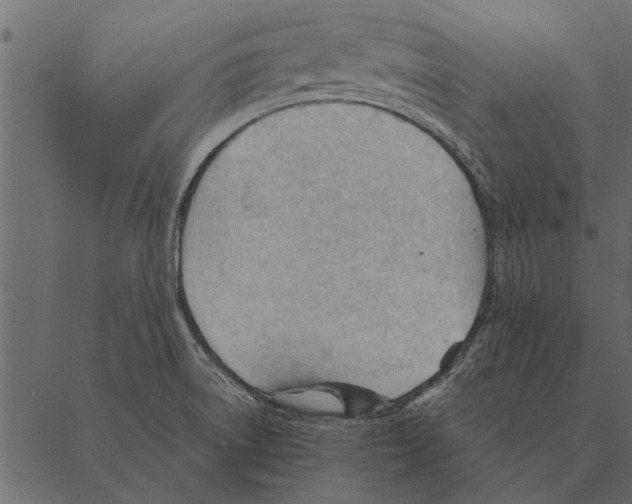 X0000087311522200705180933