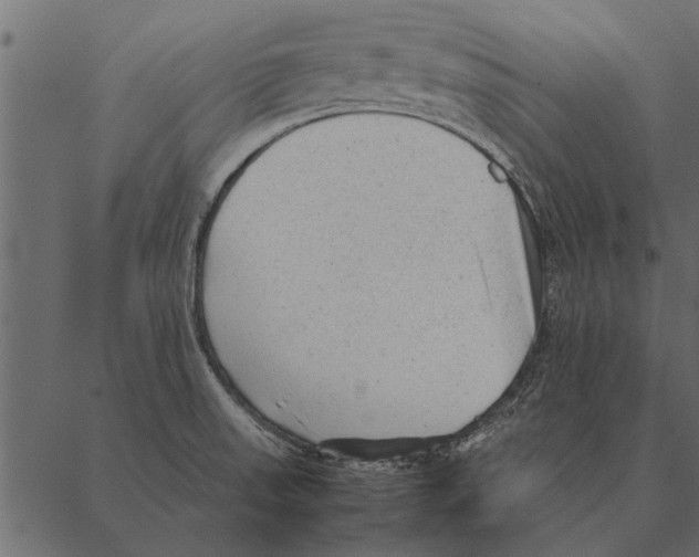 X0000087311523200705180933