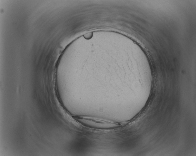 X0000087311526200705180933