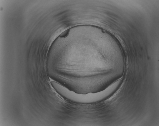 X0000087311529200705180933