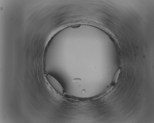 X0000087311530200705180933