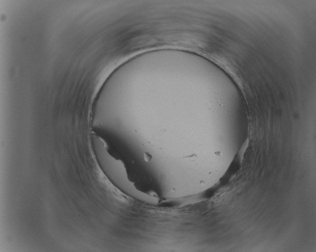 X0000087311532200705180933