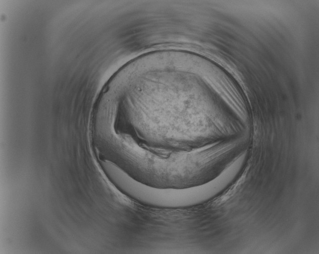 X0000087311533200705180933