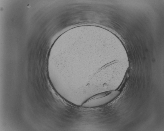 X0000087311534200705180933