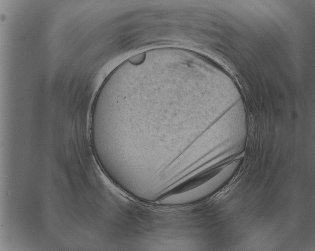 X0000087311535200705180933