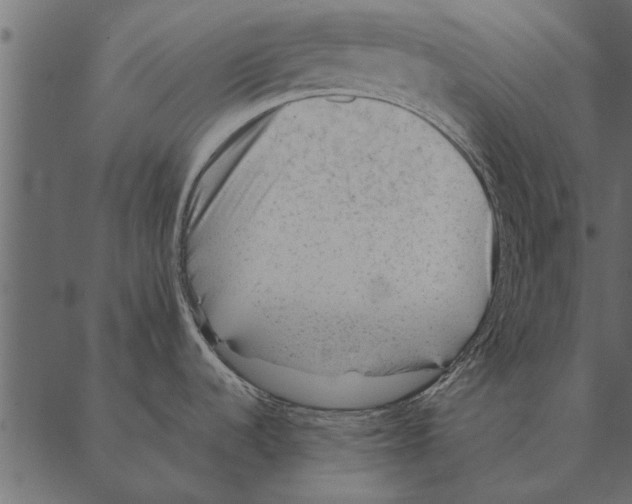 X0000087311536200705180933