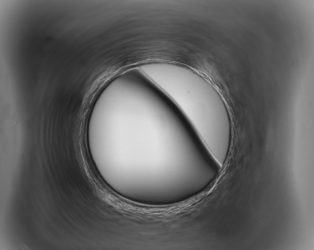 X0000087320001200704200749