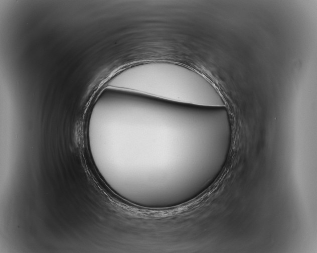 X0000087320002200704200749