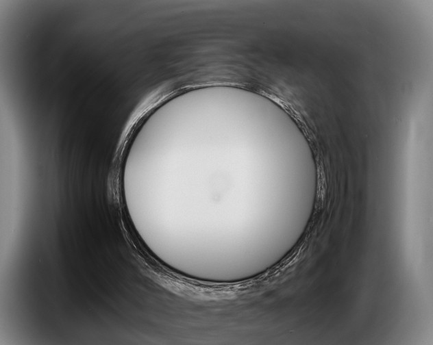 X0000087320004200704200749