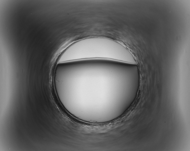 X0000087320005200704200749