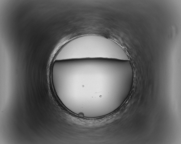 X0000087320006200704200749