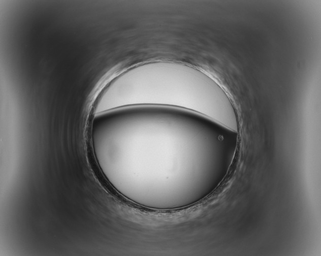 X0000087320007200704200749