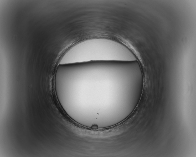 X0000087320010200704200749