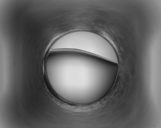 X0000087320011200704200749