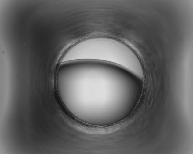 X0000087320015200704200749