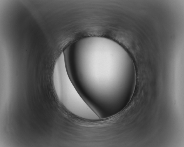 X0000087320017200704200749