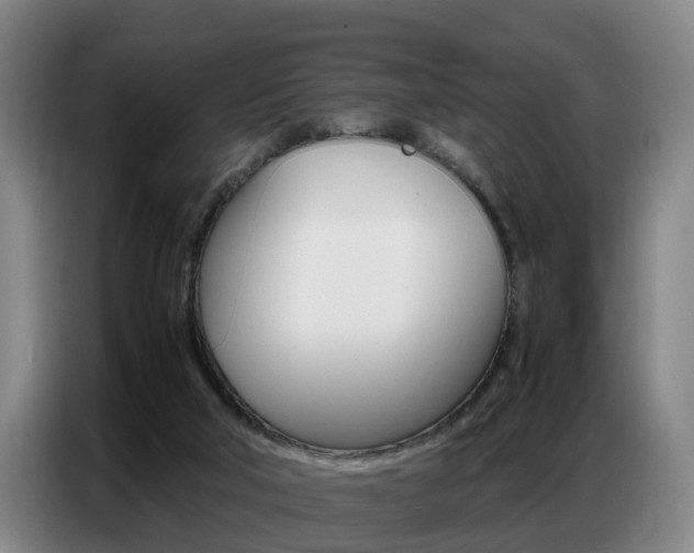 X0000087320018200704200749