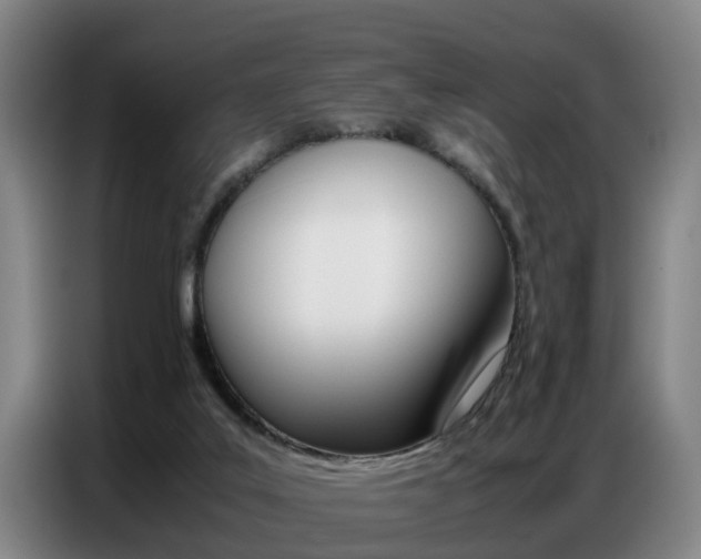 X0000087320019200704200749