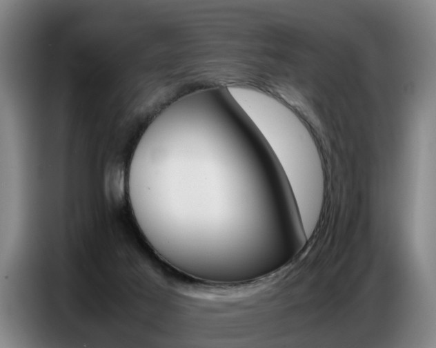X0000087320021200704200749