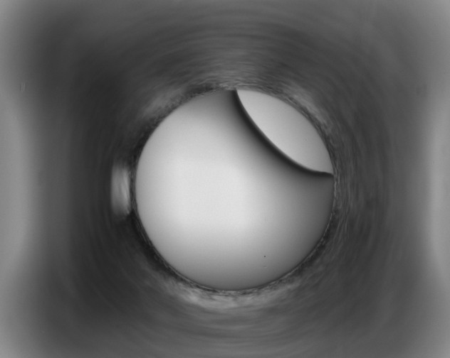 X0000087320022200704200749