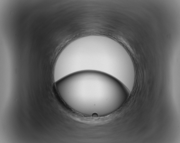 X0000087320023200704200749