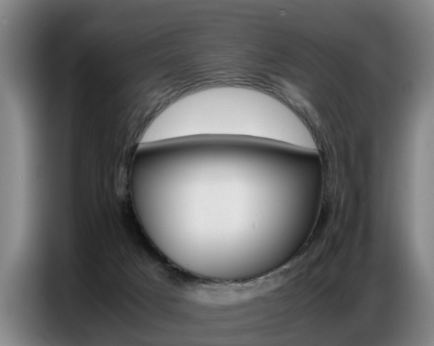 X0000087320025200704200749
