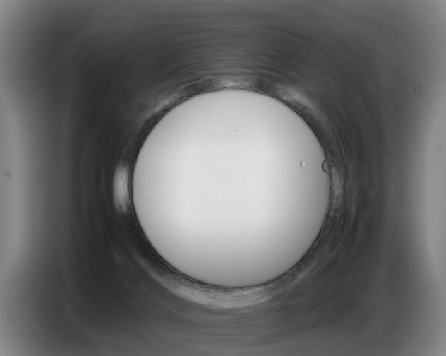 X0000087320028200704200748
